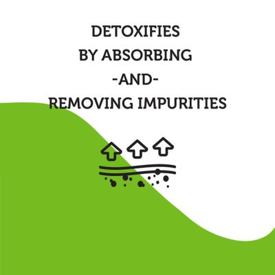 Show full view: Espree Odor Neutralizing Charcoal Horse Shampoo, 16-fl oz bottle slide 5 of 7