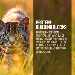 Essence Ranch & Meadow Recipe Grain-Free Dry Cat Food, 10-lb bag slide 2 of 4