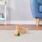 Show in main carousel: Ethical Pet Atomic Rubber Bouncing Ball Cat Toy, 2-pack slide 2 of 6