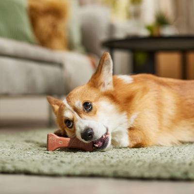 Show full view: Ethical Pet Bam-bones Plus Beef Tough Dog Chew Toy, 6-in slide 4 of 5