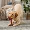 Show in main carousel: Ethical Pet Bam-bones Plus Beef Tough Dog Chew Toy, 7-in slide 4 of 5