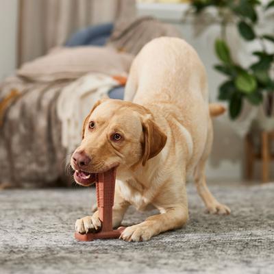 Show full view: Ethical Pet Bam-bones Plus Beef Tough Dog Chew Toy, 7-in slide 4 of 5