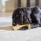 Show in main carousel: Ethical Pet Bam-bones Plus Chicken Tough Dog Chew Toy, 6-in slide 4 of 5