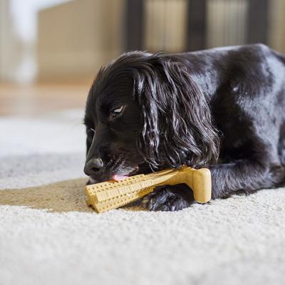 Show full view: Ethical Pet Bam-bones Plus Chicken Tough Dog Chew Toy, 6-in slide 4 of 5