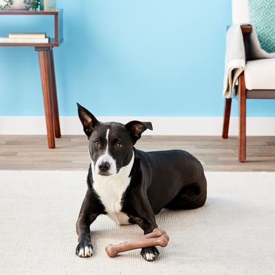 Show full view: Ethical Pet Bam-bones Wishbone Bacon Tough Dog Chew Toy, Large slide 3 of 7