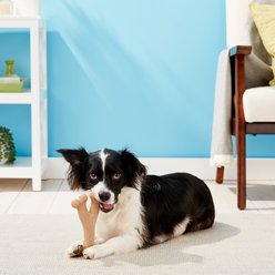 Ethical Pet Bam-bones Wishbone Chicken Tough Dog Chew Toy, Large slide 2 of 4