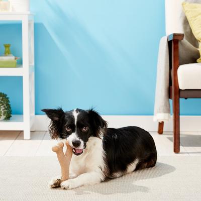 Show full view: Ethical Pet Bam-bones Wishbone Chicken Tough Dog Chew Toy, Large slide 3 of 6