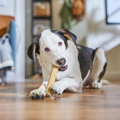 Show full view: Ethical Pet Bambone & Bamboo Chicken Dog Toy, 9.5-in slide 5 of 6