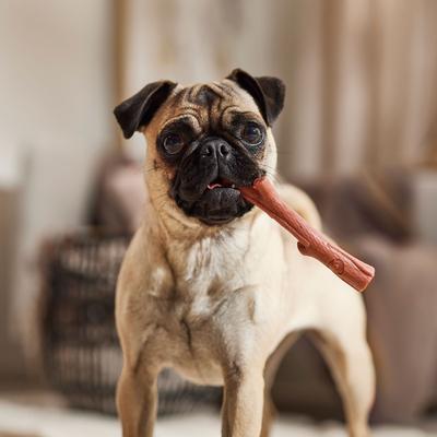 Show full view: Ethical Pet Bambone & Branch Beef Dog Toy, 5.75-in slide 5 of 6