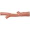 Show in main carousel: Ethical Pet Bambone & Branch Beef Dog Toy, 9.5-in slide 4 of 6