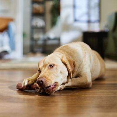 Show full view: Ethical Pet Bambone & Branch Beef Dog Toy, 9.5-in slide 5 of 6