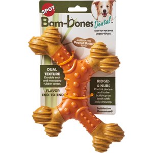 Ethical Pet Bambone X-Bone Peanut Butter Flavored Bone Dog Toy, Brown/Green, 8-in