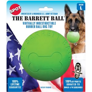 Ethical Pet Barrett Ball Dog Toy, Green, 5-in