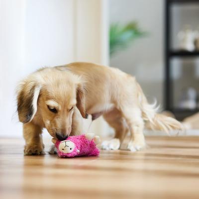 Show full view: Ethical Pet Chenille Squeaky Plush Puppy Toy, Character Varies slide 3 of 5