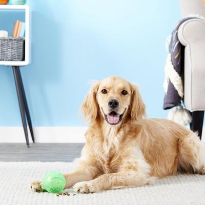 Show full view: Ethical Pet Dura Brite Treat Dispenser Ball Dog Toy, Color Varies slide 3 of 8