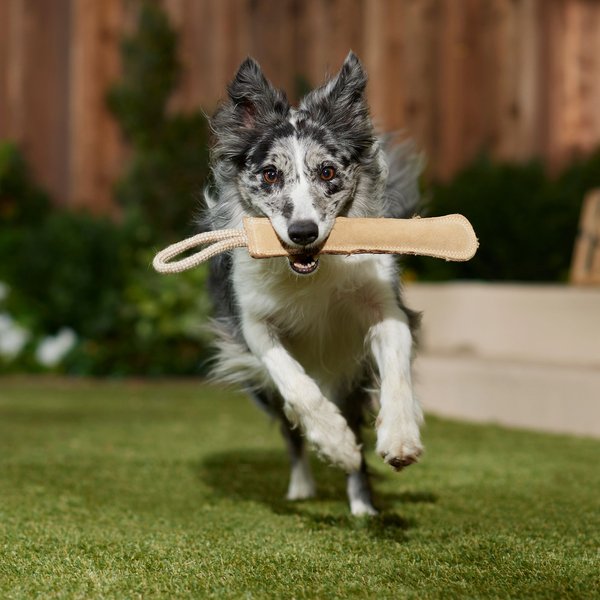 Ethical Pet Dura-Fused Leather Baseball Tug Dog Toy
