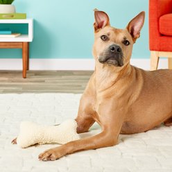 Ethical Pet Fleece Bone Squeaky Tough Plush Dog Toy, 9-in slide 2 of 5