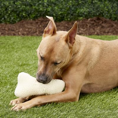 Show full view: Ethical Pet Fleece Bone Squeaky Tough Plush Dog Toy, 9-in slide 3 of 7
