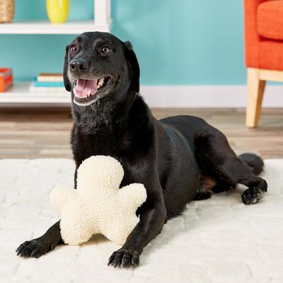 Show full view: Ethical Pet Fleece Chewman Squeaky Tough Plush Dog Toy slide 2 of 4