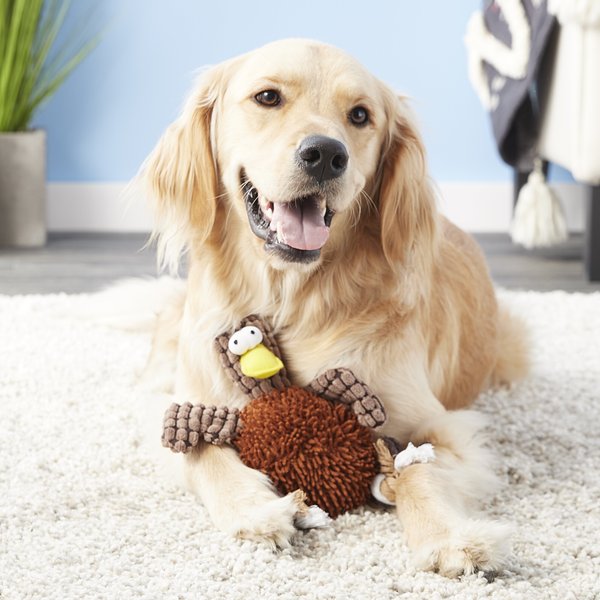 Ethical Pet Gigglers Chicken Plush Dog Toy