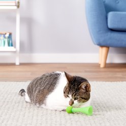 Ethical Pet Kitty Fun Boppers Cat Toy, 4-in, Color Varies slide 2 of 4