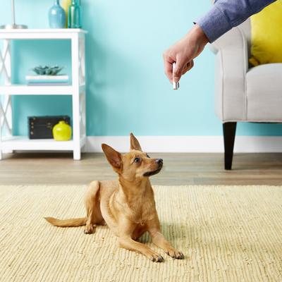 Show full view: Ethical Pet Laser Exerciser Original 2 in 1 Dog & Cat Toy slide 6 of 11