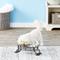 Show in main carousel: Ethical Pet Mediterranean Double Diner Non-Skid Elevated Dog & Cat Bowls, 2-cup slide 2 of 4