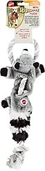 Ethical Pet Mini Skinneeez Tugs Raccoon Stuffing-Free Squeaky Plush Dog Toy slide 2 of 4