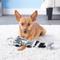 Show in main carousel: Ethical Pet Mini Skinneeez Tugs Raccoon Stuffing-Free Squeaky Plush Dog Toy slide 4 of 6