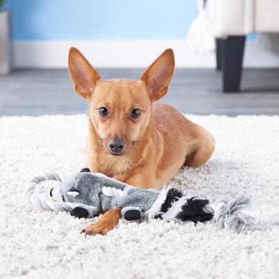 Show full view: Ethical Pet Mini Skinneeez Tugs Raccoon Stuffing-Free Squeaky Plush Dog Toy slide 4 of 6