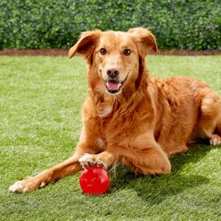 Ethical Pet Play Strong Rubber Ball Tough Dog Chew Toy, 3.25-in slide 2 of 5