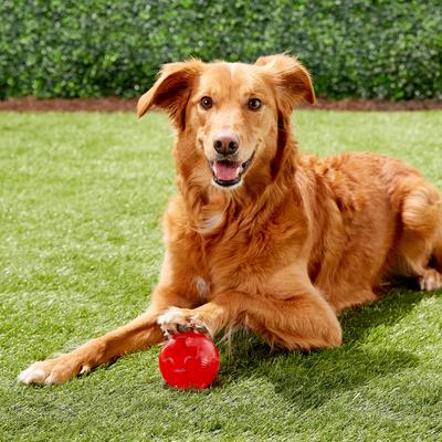 Show full view: Ethical Pet Play Strong Rubber Ball Tough Dog Chew Toy, 3.25-in slide 2 of 7