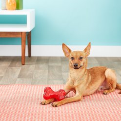 Ethical Pet Play Strong Rubber Bone Tough Dog Chew Toy, 4.5-in slide 2 of 4