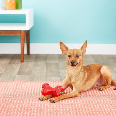 Show full view: Ethical Pet Play Strong Rubber Bone Tough Dog Chew Toy, 4.5-in slide 2 of 6