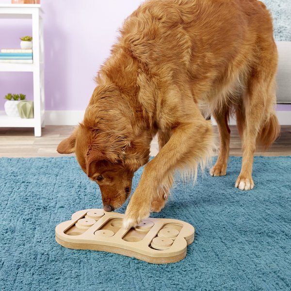 Spot Seek-A-Treat Shuffle Bone Dog Puzzle Toy, White & Green