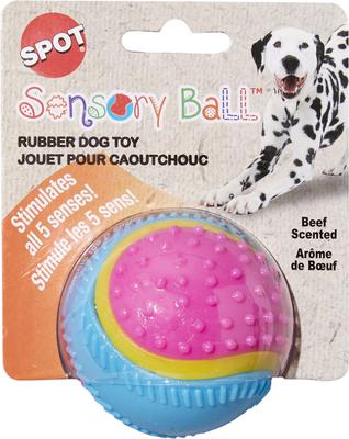 Ethical Pet Sensory Ball Tough Dog Chew Toy, Color Varies
