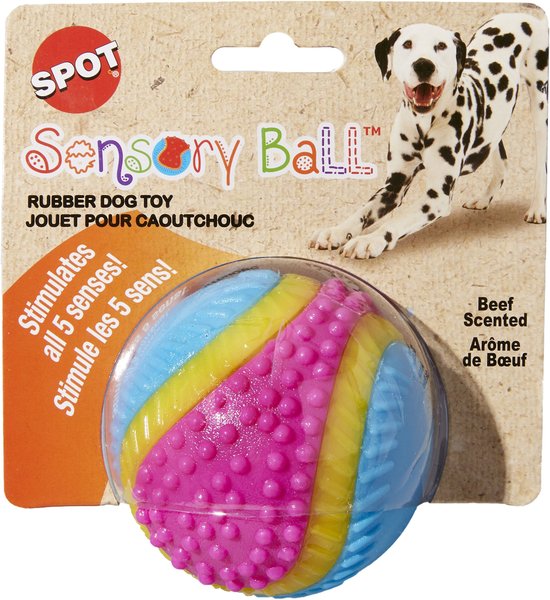 thumbnail image 2 of Spot Ethical Sensory Rubber Scented Ball Dog Toy – Durable, Engaging, New 2 of 4