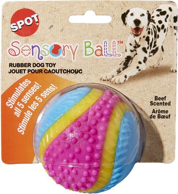 Ethical Pet Sensory Ball Tough Dog Chew Toy, Color Varies