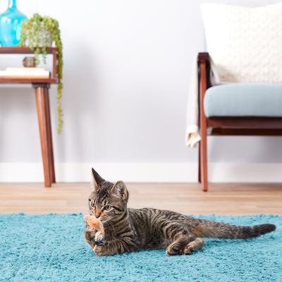 Show full view: Ethical Pet Skinneeez Barnyard Creature Stuffing-Free Plush Cat Toy with Catnip, Color Varies slide 2 of 7