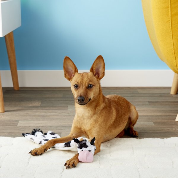 Show full view: Ethical Pet Skinneeez Crinklers Cow Stuffing-Free Squeaky Plush Dog Toy, 14-in slide 2 of 6