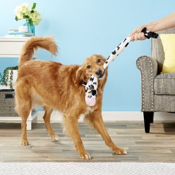 Ethical Pet Skinneeez Crinklers Cow Stuffing-Free Squeaky Plush Dog Toy, 23-in slide 2 of 5