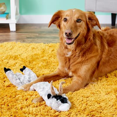 Show full view: Ethical Pet Skinneeez Crinklers Goat Stuffing-Free Squeaky Plush Dog Toy, 23-in slide 4 of 6