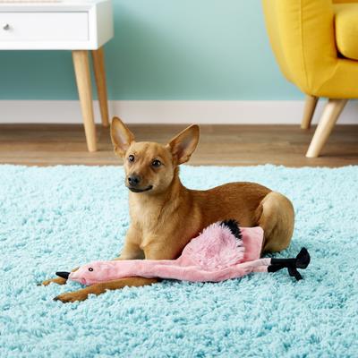Show full view: Ethical Pet Skinneeez Exotic Series Pink Flamingo Stuffing-Free Squeaky Plush Dog Toy slide 4 of 7