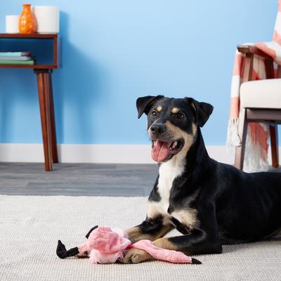 Show full view: Ethical Pet Skinneeez Exotic Series Pink Flamingo Stuffing-Free Squeaky Plush Dog Toy slide 5 of 7