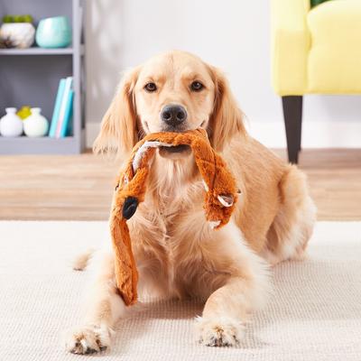 Show full view: Ethical Pet Skinneeez Extreme Quilted Chimpmunk Stuffing-Free Squeaky Plush Dog Toy, Large slide 2 of 4