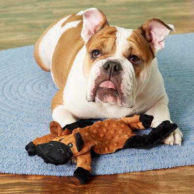 Show full view: Ethical Pet Skinneeez Extreme Stuffer Cow Stuffing-Free Squeaky Plush Dog Toy slide 3 of 6