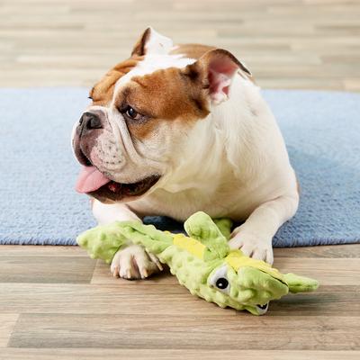 Show full view: Ethical Pet Skinneeez Extreme Stuffer Frog Stuffing-Free Squeaky Plush Dog Toy slide 4 of 6