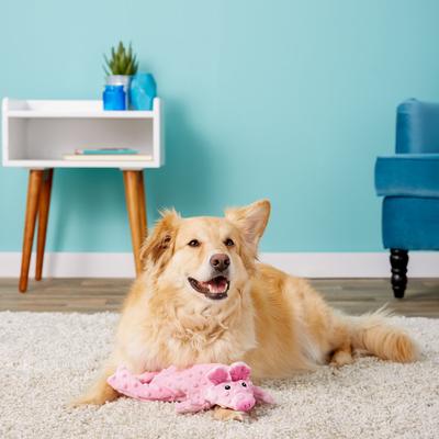 Show full view: Ethical Pet Skinneeez Extreme Stuffer Pig Stuffing-Free Squeaky Plush Dog Toy slide 5 of 7