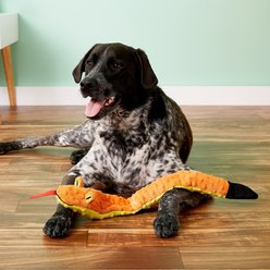 Ethical Pet Skinneeez Extreme Triple Squeaker Snake Stuffing-Free Squeaky Plush Dog Toy slide 2 of 3