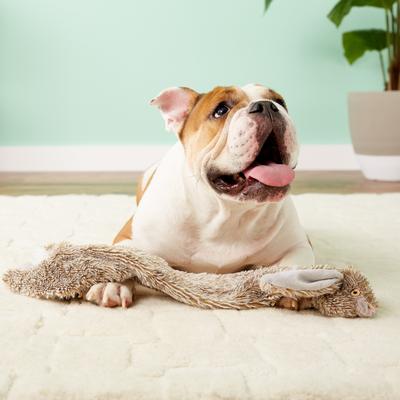 Show full view: Ethical Pet Skinneeez Forest Series Rabbit Stuffing-Free Squeaky Plush Dog Toy slide 5 of 7